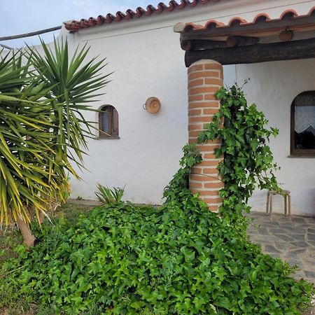 Вилла Quinta Da Belavista Регенгуш-ди-Монсараш Экстерьер фото