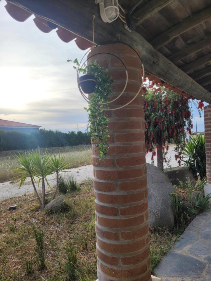 Вилла Quinta Da Belavista Регенгуш-ди-Монсараш Экстерьер фото